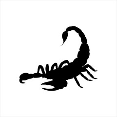 Black scorpion silhouette isolated on white background. Scorpion icon vector illustration design.