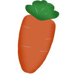 carrot cartoon illustration