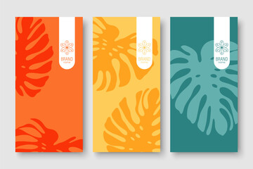 Branding packaging nature leaf background, voucher, logo,  banner. Summer tropical vector illustration with monstera leaves.