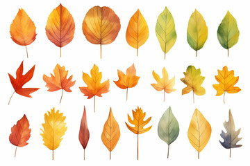Collection of watercolor autumn leaves in various shapes and colors, perfect for seasonal design, decorations, or backgrounds.