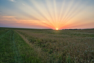 Sonnenuntergang über einer Wiese