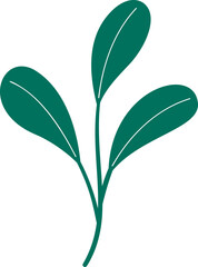 Foliage clipart vector