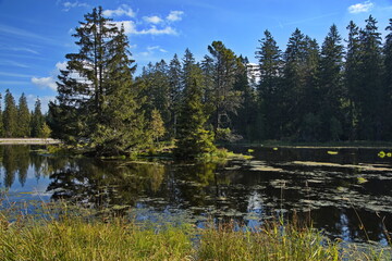 Pond at nature studies path at Kladska, Czech Republic, Europe

