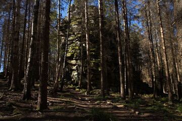 Rock formation Schnarcherklippen at Elend, Harz District, Saxony-Anhalt, Germany, Europe
