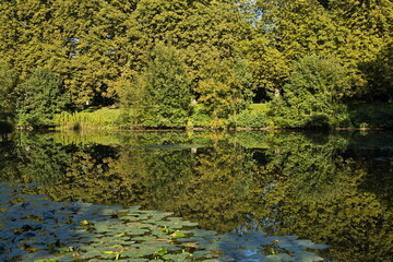 Pond in Ohlsdorf Cemetery in Hamburg, Europe
