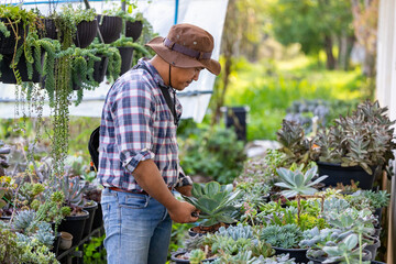 Asian gardener is working inside the greenhouse full of succulent plants collection while checking...