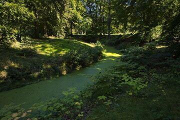 Pond in Ohlsdorf Cemetery in Hamburg, Europe
