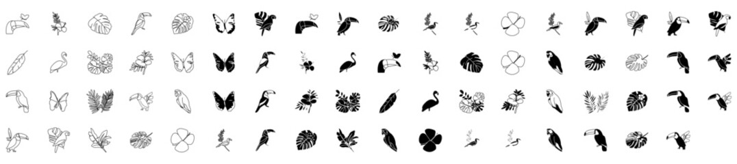 tropical icon pack, tropical line icons collection, tropical icon set