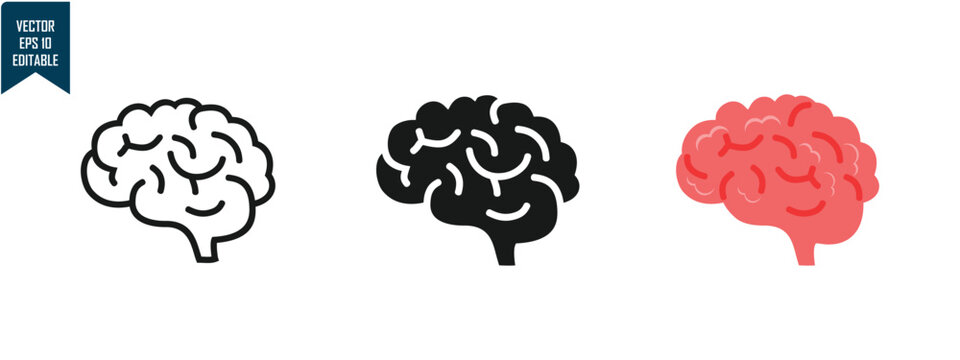 brain organ design set, outline, solid and colored, simple style to complement data and research, editable vector eps 10.