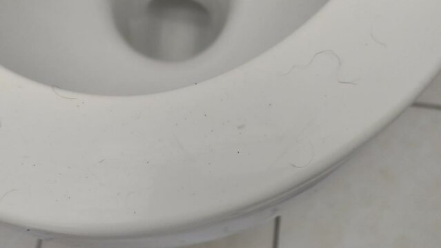 Pubic hair and dirt on the toilet rim in a public, hostel or student dormitory toilet.