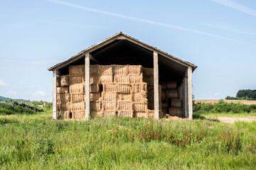 Hay storage for protection harvested bales in big farm in summer