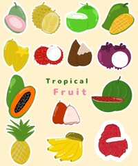 Illustration set of tropical fruit on cream color background 