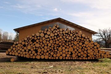 A large pile of wood is stacked against a building