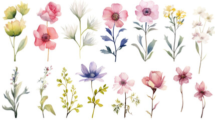 Set of watercolor wildflowers painting isolated on clear png background and transparent background. Fresh and nature concept for nature decorative and flower element, AI generative.	