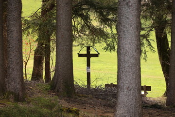 A cross is sitting in the middle of a forest