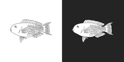 black and white parrot fish vector illustration