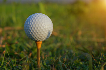 Golf ball is on tee at green lawn in a beautiful golf course with morning sunshine.