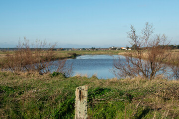 marais; region Pays de Loire; marais Breton; 85, Vendée, Loire Atlantique, France