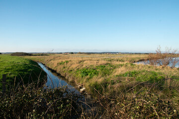 marais; region Pays de Loire; marais Breton; 85, Vendée, Loire Atlantique, France
