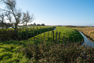 marais; region Pays de Loire; marais Breton; 85, Vendée, Loire Atlantique, France