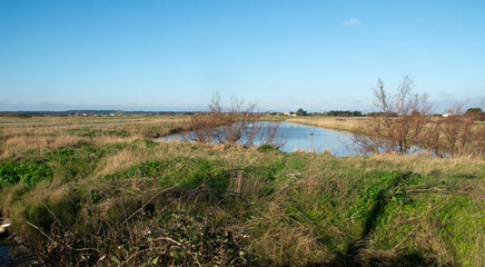 marais; region Pays de Loire; marais Breton; 85, Vendée, Loire Atlantique, France