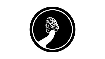 morel mushroom, black isolated silhouette