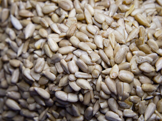 Natural Seed Pile. Sunflower seeds in natural state, perfect for organic food marketing.