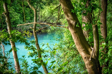 Harpener Teiche Bochum Germany