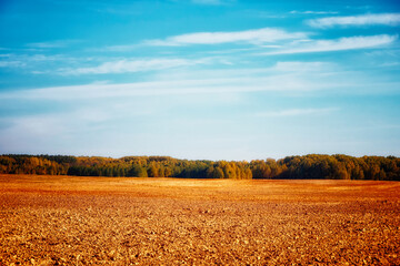 Plowed farmland stretches to a distant treeline beneath a serene sky, evoking feelings of peace and...