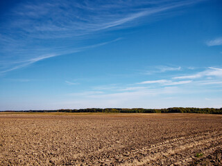 A vast plowed field under a wide blue sky with wispy clouds, suggesting the concept of agriculture and the tranquility of rural life. Ideal for backgrounds.