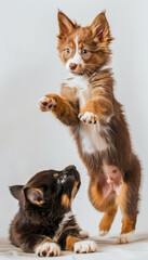Obraz premium Playful Cat and Dog Puppies Having Fun 