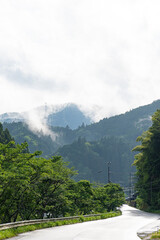 日本の雨の風景  街道と紀伊山地