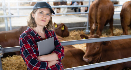Woman farmer with tablet at a dairy farm. Herd management.Woman farmer with tablet at a dairy farm....