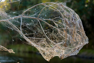 Puente Piedras Blancas