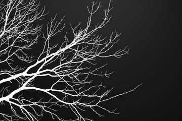 Black and white photo of a tree with no leaves