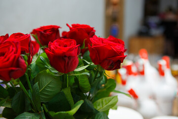 Bouquet of beautiful red roses