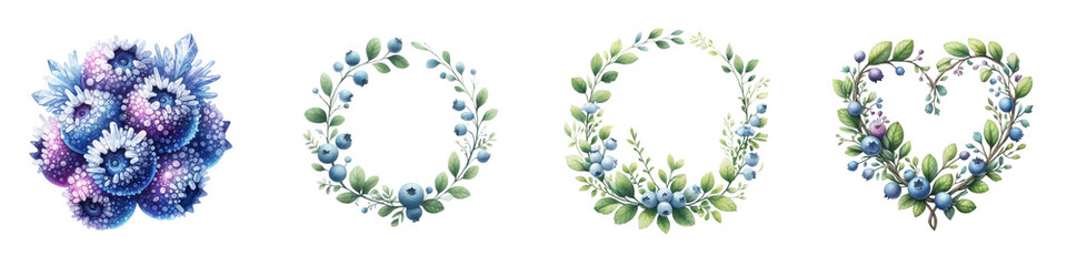 Watercolor blueberries on white background