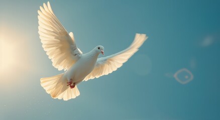 Obraz premium White Bird Flying Through Blue Sky