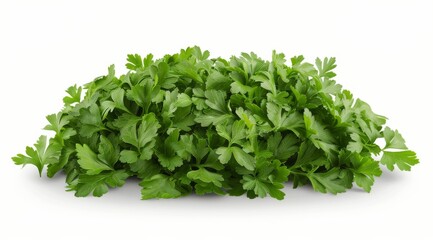 Fototapeta premium A Pile of Parsley on a White Background