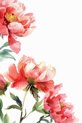 painting watercolor flower background illustration floral nature. Red peons flower background for greeting cards weddings or birthdays. Copy space. 