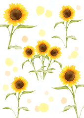 collage of sunflowers