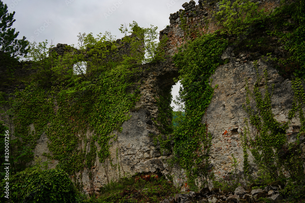 Wall mural a roman gothic castle ruins called grad konjice.