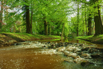 Obraz premium Rzeka Czerna Wielka przepływająca przez Park Dworski w mieście Iłowa w Polsce. Jest słoneczny dzień.