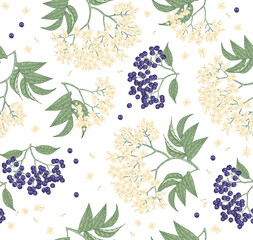 Elderflower seamless pattern. Elderberry, sambucus flowers hand drawn. Vector illustration vintage.
