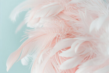 Fototapeta premium A close up of a feathery pink and white bird's wing