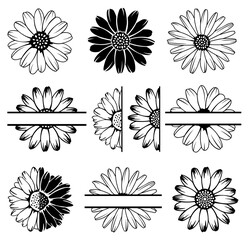 Daisy Flower SVG Bundle, Flower SVG, Monogram SVG, Half Chamomile SVG, Chamomile Silhouette, Floral, Chamomile SVG Cut Files	