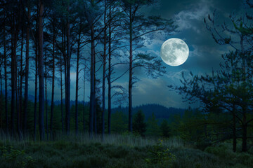 Enchanting Full Moon Rising Over Pine Forest at Night with Cloudy Sky