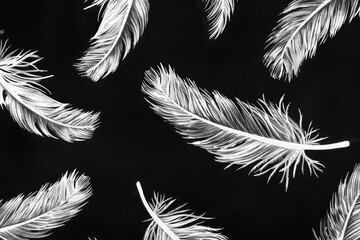 Obraz premium Feathers are flying in the air on a black background