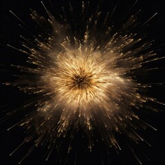 Fototapeta premium Colorful fireworks in the night sky.