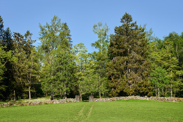 Images from a day in May 2024 at Steinberg Open Air Museum, Toten, Norway.